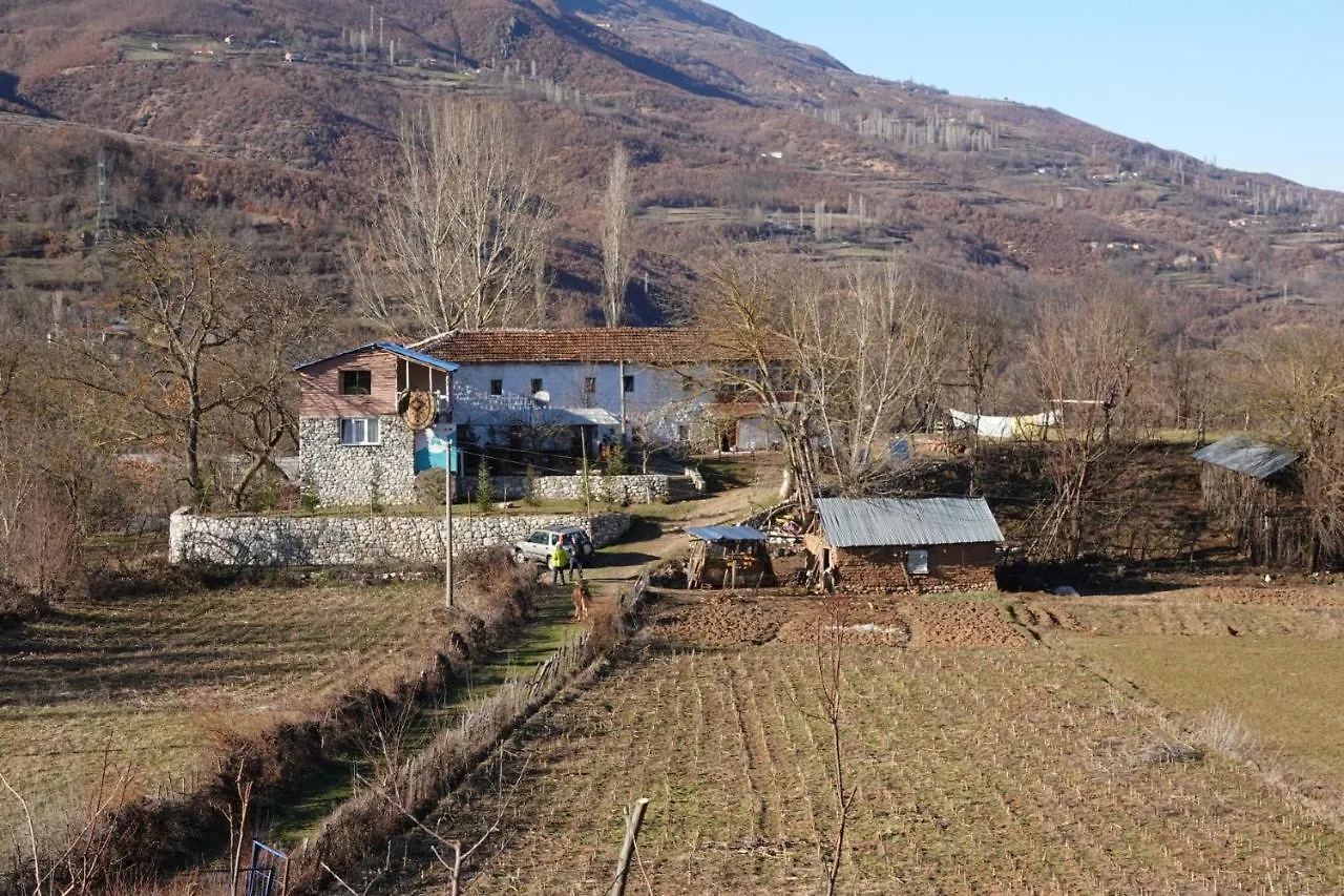 Guest house Guesthouse Arber Peshkopi Albania