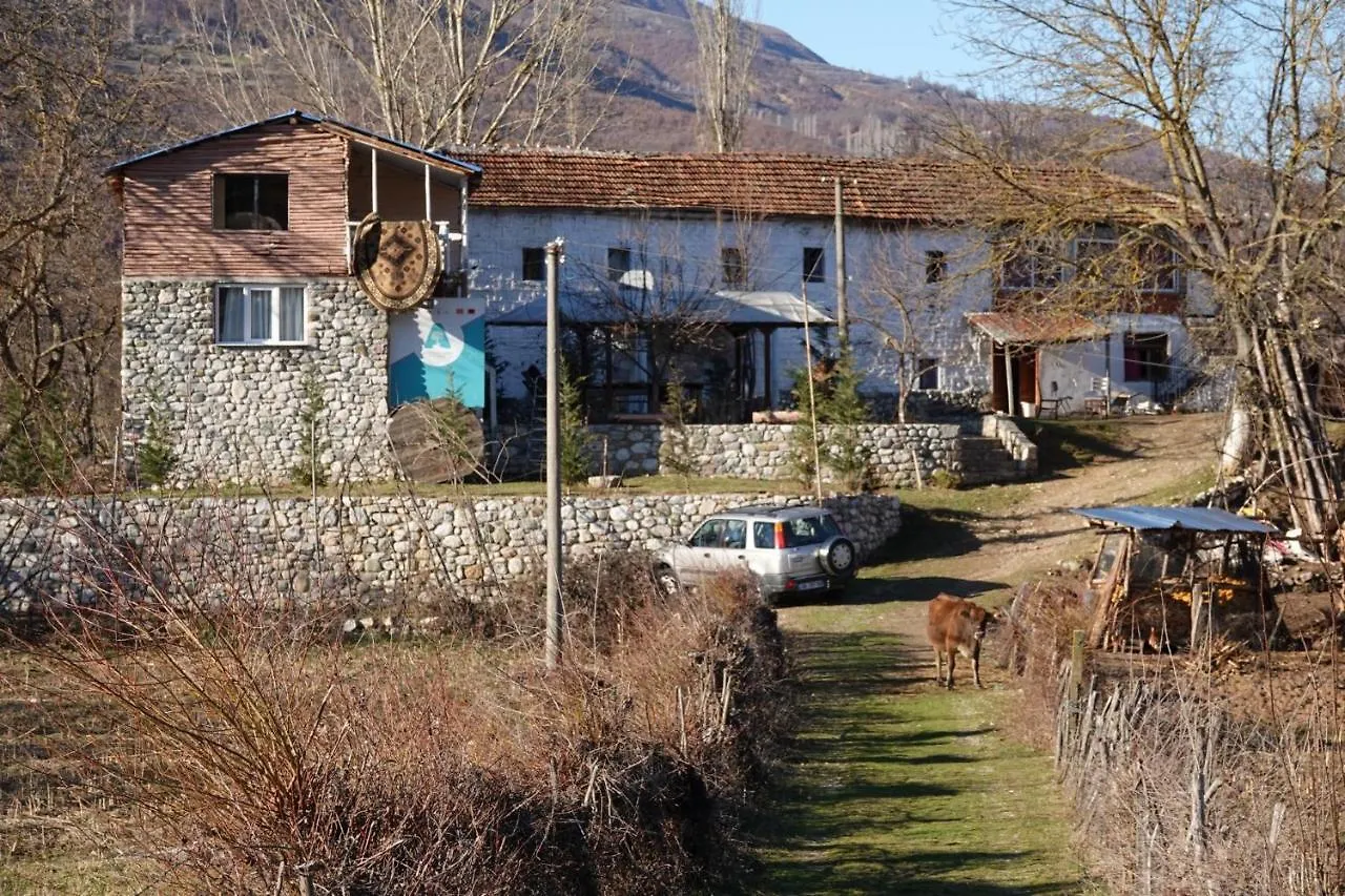 Guesthouse Arber Peshkopi 0*,