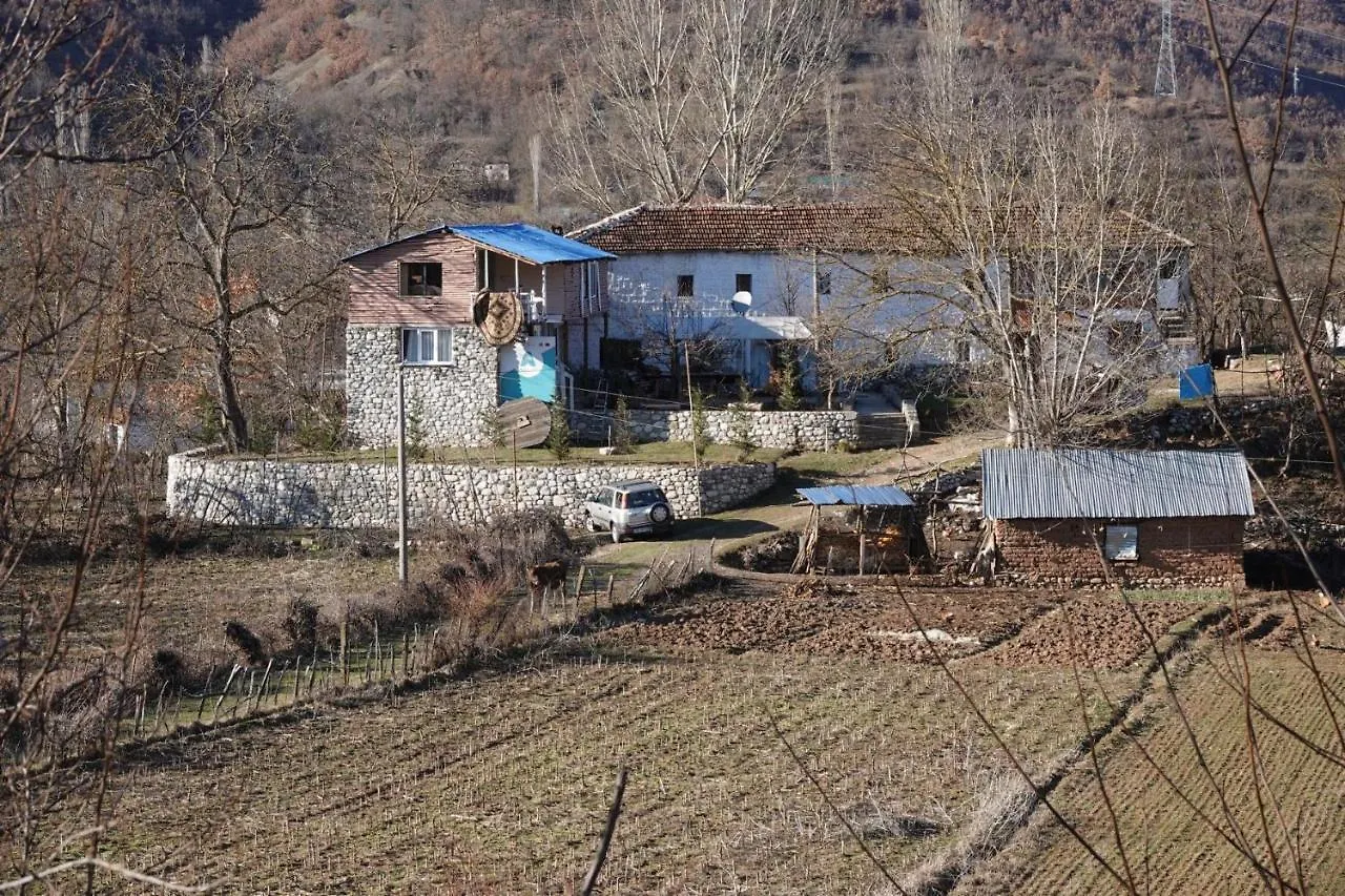 Guesthouse Arber Peshkopi 0*,  阿尔巴尼亚